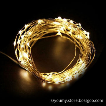 DC 12V 50 LEDs LED 5M Copper Wire Warm White LED String Fairy Light
